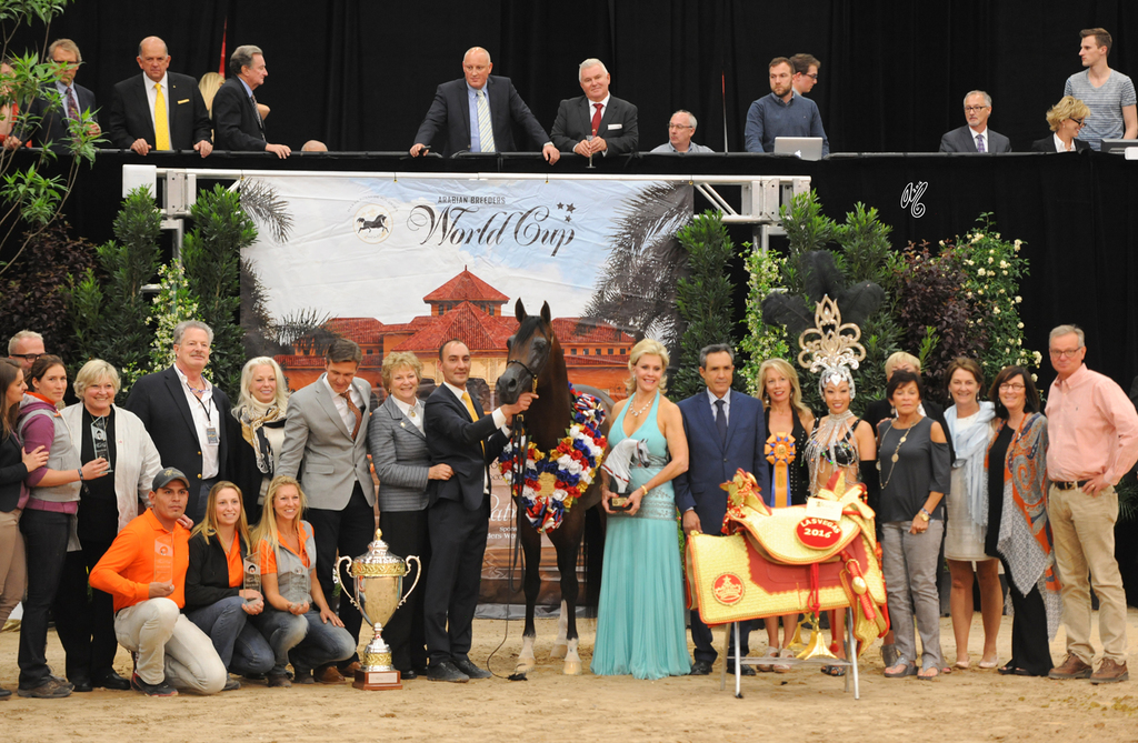 Senior Stallion Gold Champion:  Equator PASB (QR Marc X Ekliptyka)
