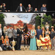 Senior Stallion Gold Champion:  Equator PASB (QR Marc X Ekliptyka)