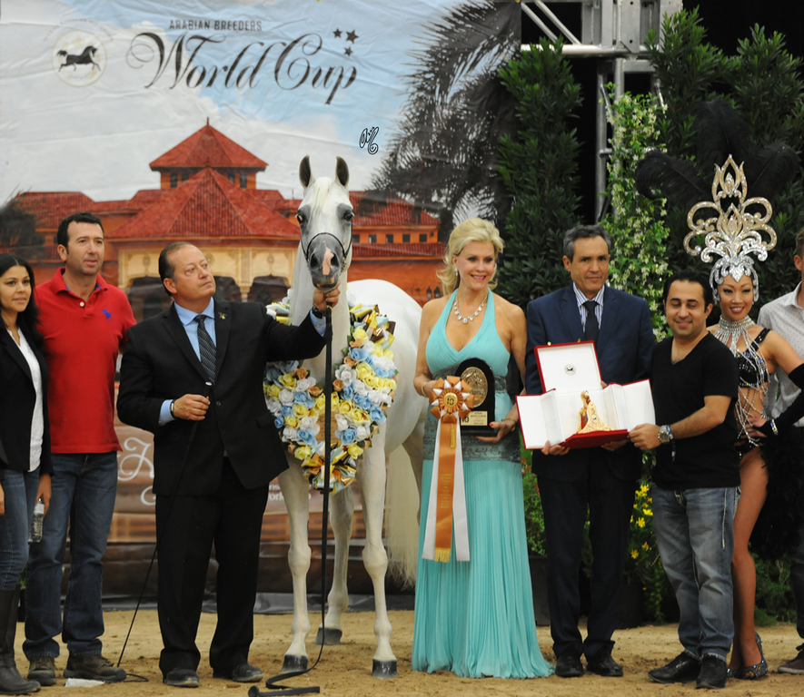 Senior Mare Bronze Champion: AJ Dinara (AJ Dinar X HS Dancing Queen)