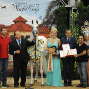 Senior Mare Bronze Champion: AJ Dinara (AJ Dinar X HS Dancing Queen)