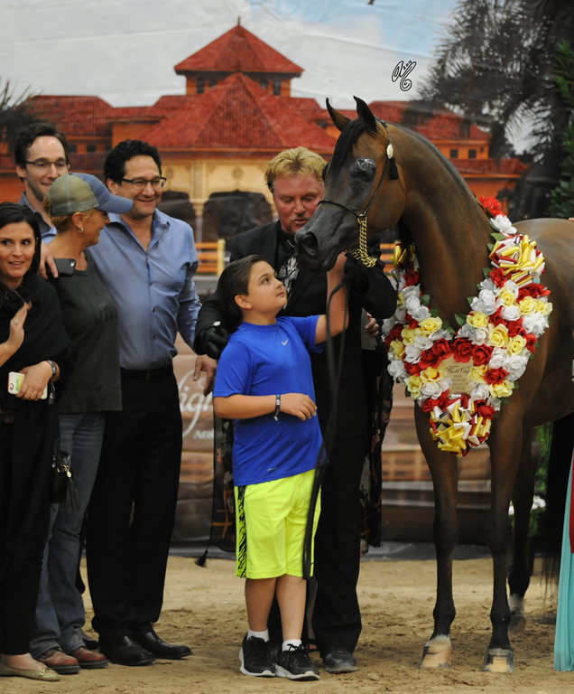 Senior Mare Silver Champion: Honey’s Delight RB (JJ Senor Magnum X Honeymoon FHP)