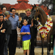 Senior Mare Silver Champion: Honey’s Delight RB (JJ Senor Magnum X Honeymoon FHP)