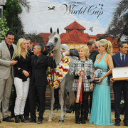 Junior Stallion Silver Champion: Wortex Kalliste (Shanghai EA X Mirwanah Kalliste)