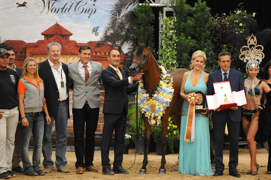 Junior Mare Bronze Champion: Maysah Aljassimya (Monther Al Nasser X RA Marwans Eleygance)