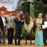 Junior Mare Bronze Champion: Maysah Aljassimya (Monther Al Nasser X RA Marwans Eleygance)