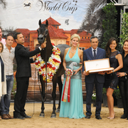 Junior Mare Silver Champion: Pitonisa AS (Ever After NA X Psyches Amber Dream)