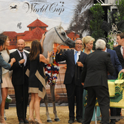 Junior Mare Gold Champion: Mozn Albidayer (S.M.A. Magic One X Mattaharii)