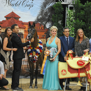 Yearling Colt Gold Champion: Rajj Albidayer (Marajj X Loredonna Z)