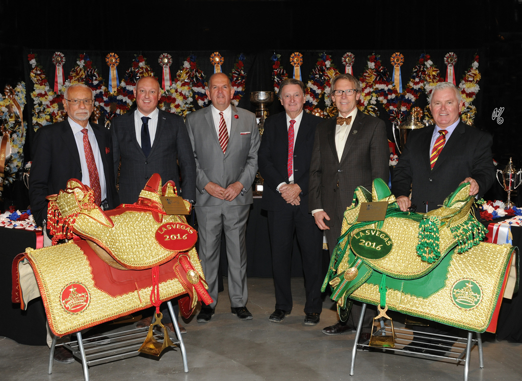 Judges: (l-to-r): Dr. Nasr Marei, Cedes Bakker, Graham Smith, Jorge Guillermo Concaro, Van Jacobson and George Zbyszewski