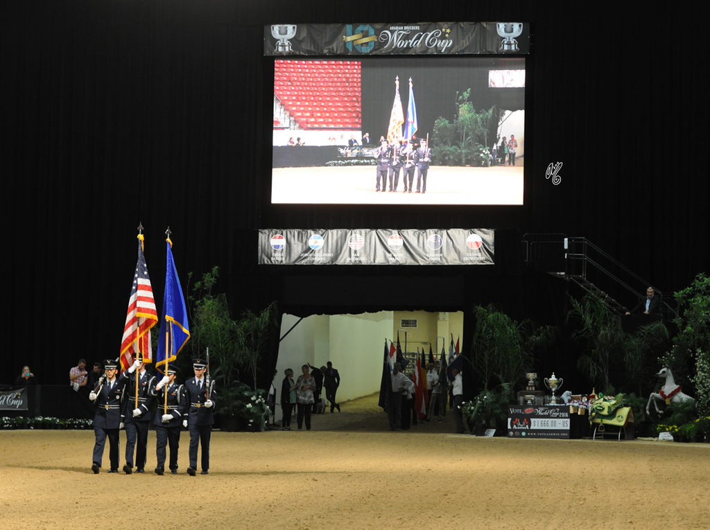 Lisa Abraham: 2016 Arabian Breeders World Cup: Las Vegas! Photo Album
