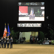 Lisa Abraham: 2016 Arabian Breeders World Cup: Las Vegas! Photo Album