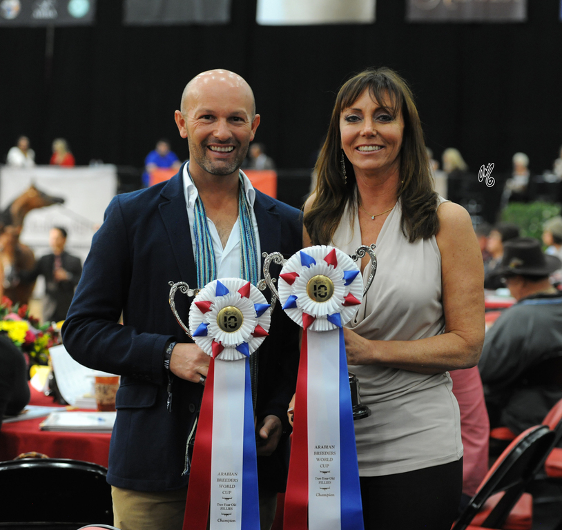 Lisa Abraham: 2016 Arabian Breeders World Cup: Las Vegas! Photo Album