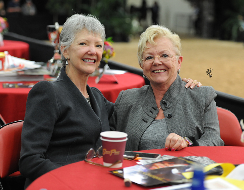 Lisa Abraham: 2016 Arabian Breeders World Cup: Las Vegas! Photo Album