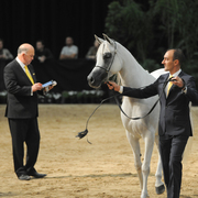 Senior Mare: Om El Soraya