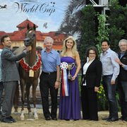 Senior Mare: Tina El Madan