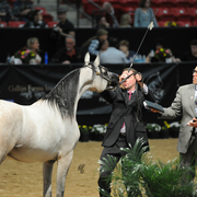 Junior Mare: Naradaa