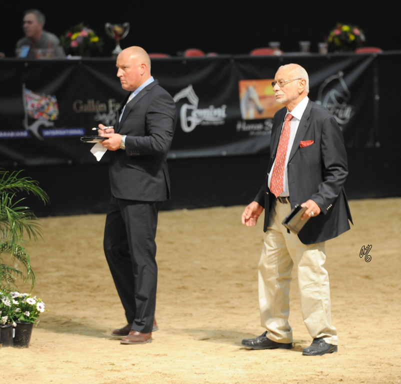 Judges Cedes Bakker and Dr. Nasr Marei