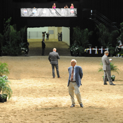 Lisa Abraham: 2016 Arabian Breeders World Cup: Las Vegas! Photo Album