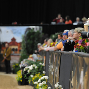 Lisa Abraham: 2016 Arabian Breeders World Cup: Las Vegas! Photo Album