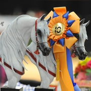 Lisa Abraham: 2016 Arabian Breeders World Cup: Las Vegas! Photo Album