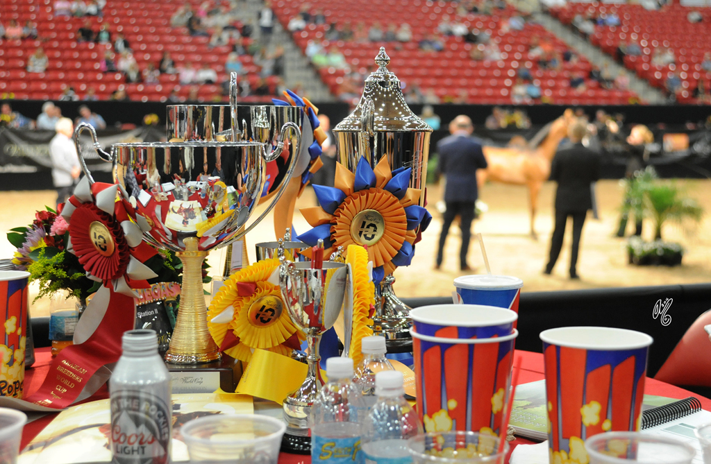 Lisa Abraham: 2016 Arabian Breeders World Cup: Las Vegas! Photo Album