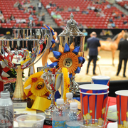 Lisa Abraham: 2016 Arabian Breeders World Cup: Las Vegas! Photo Album