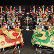 Lisa Abraham: 2016 Arabian Breeders World Cup: Las Vegas! Photo Album