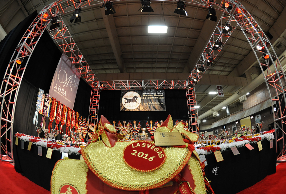 Welcome to the 2016 Arabian Breeders World Cup in Las Vegas!