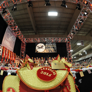 Welcome to the 2016 Arabian Breeders World Cup in Las Vegas!