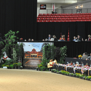 Lisa Abraham: 2016 Arabian Breeders World Cup: Las Vegas! Photo Album