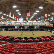 Lisa Abraham: 2016 Arabian Breeders World Cup: Las Vegas! Photo Album