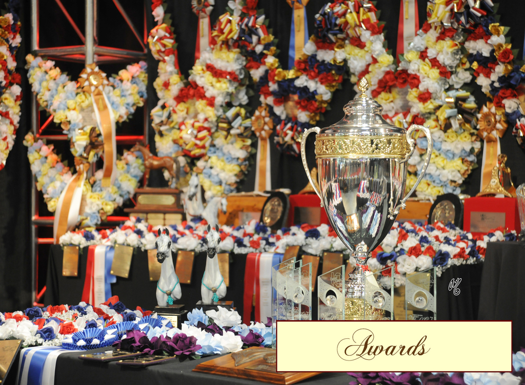 Lisa Abraham: 2016 Arabian Breeders World Cup: Las Vegas! Photo Album