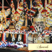 Lisa Abraham: 2016 Arabian Breeders World Cup: Las Vegas! Photo Album