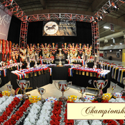 Lisa Abraham: 2016 Arabian Breeders World Cup: Las Vegas! Photo Album