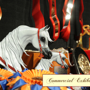 Lisa Abraham: 2016 Arabian Breeders World Cup: Las Vegas! Photo Album