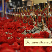 Lisa Abraham: 2016 Arabian Breeders World Cup: Las Vegas! Photo Album