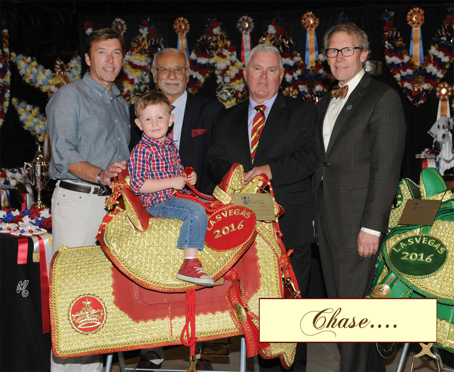 2016 Arabian Breeders World Cup: Las Vegas!