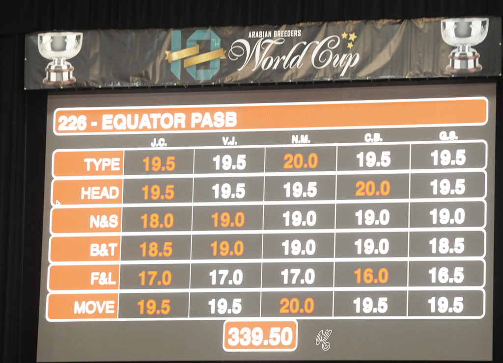 Senior Stallion Gold Champion:  Equator PASB (QR Marc X Ekliptyka)