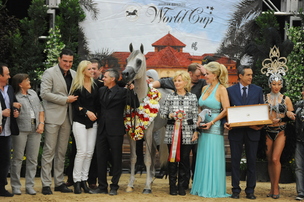 Junior Stallion Silver Champion: Wortex Kalliste (Shanghai EA X Mirwanah Kalliste)