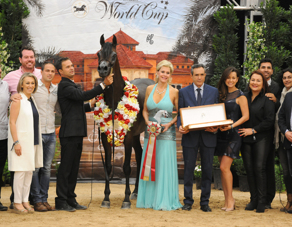 Junior Mare Silver Champion: Pitonisa AS (Ever After NA X Psyches Amber Dream)