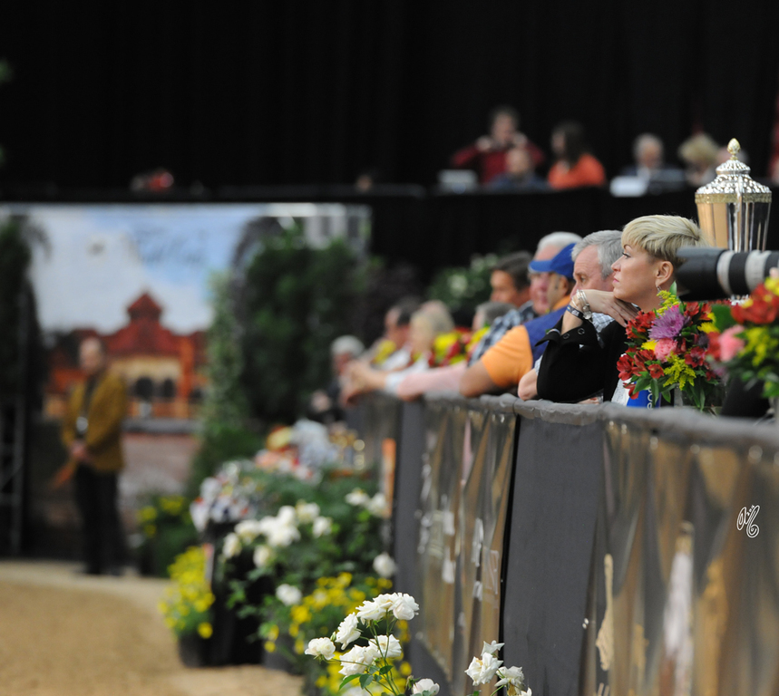 2016 Arabian Breeders World Cup: Las Vegas!