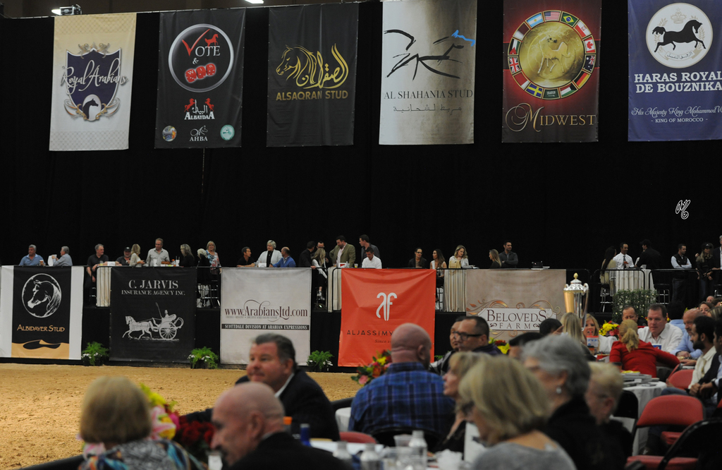 2016 Arabian Breeders World Cup: Las Vegas!