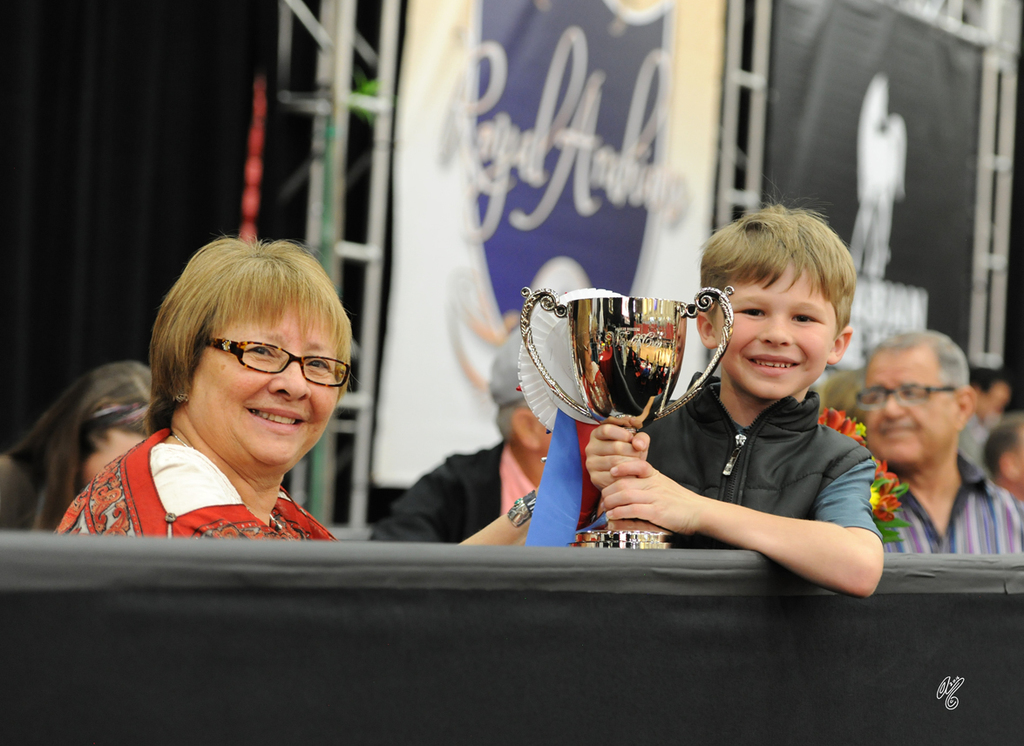 2016 Arabian Breeders World Cup: Las Vegas!