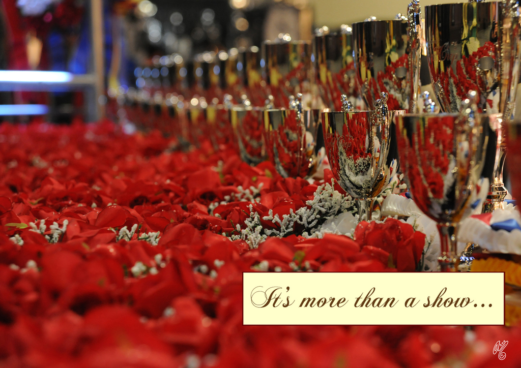 2016 Arabian Breeders World Cup: Las Vegas!