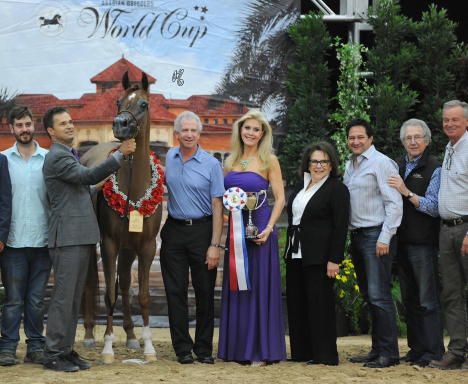 Senior Mare: Tina El Madan