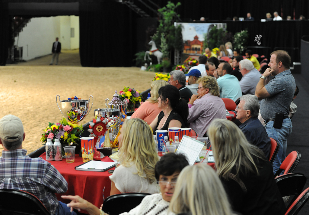 2016 Arabian Breeders World Cup: Las Vegas!