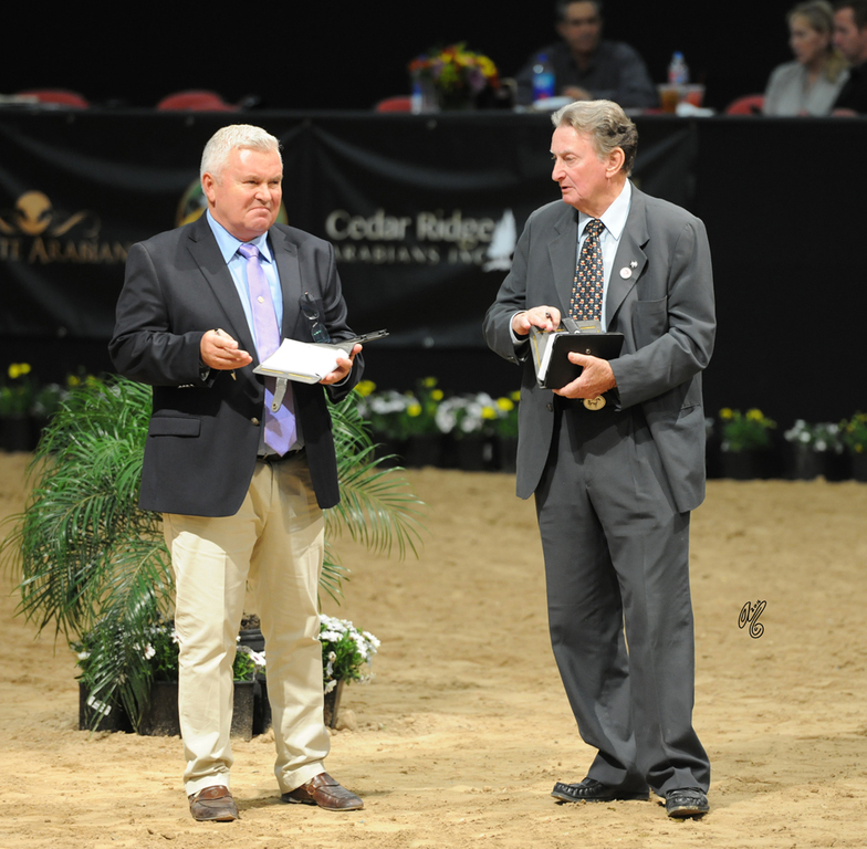 Judges George Zbyszewski and Jorge Guillermo Concaro
