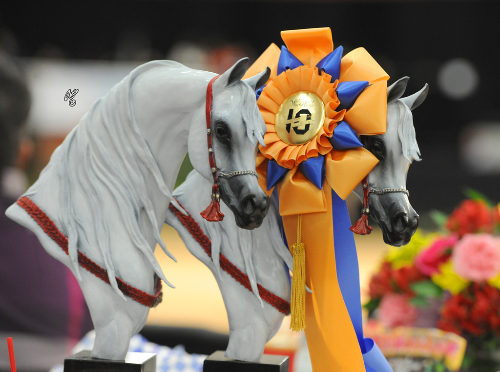 2016 Arabian Breeders World Cup: Las Vegas!