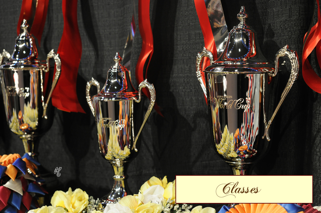 2016 Arabian Breeders World Cup: Las Vegas!