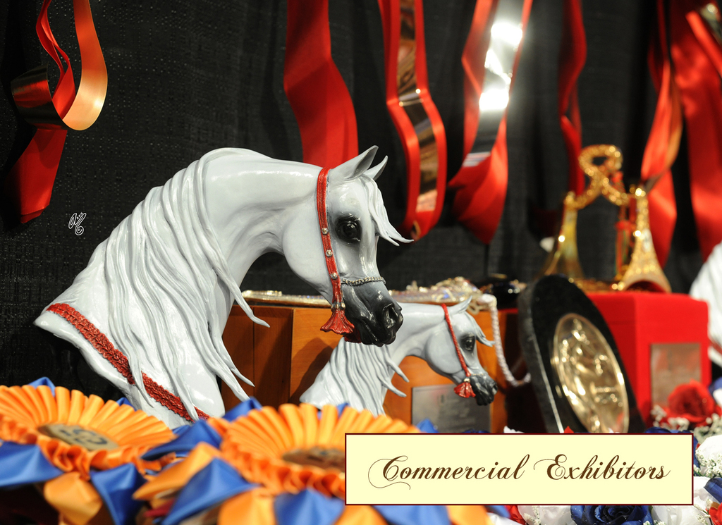 2016 Arabian Breeders World Cup: Las Vegas!